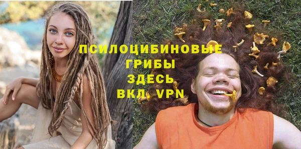 дмт Армянск