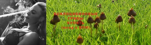 дмт Армянск