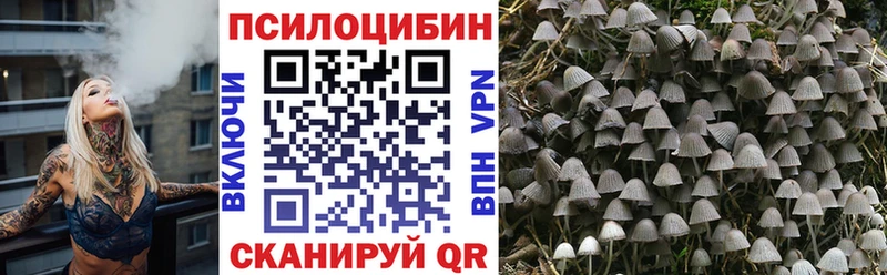 купить  цена  ссылка на мегу зеркало  Галлюциногенные грибы Magic Shrooms  Пугачёв 